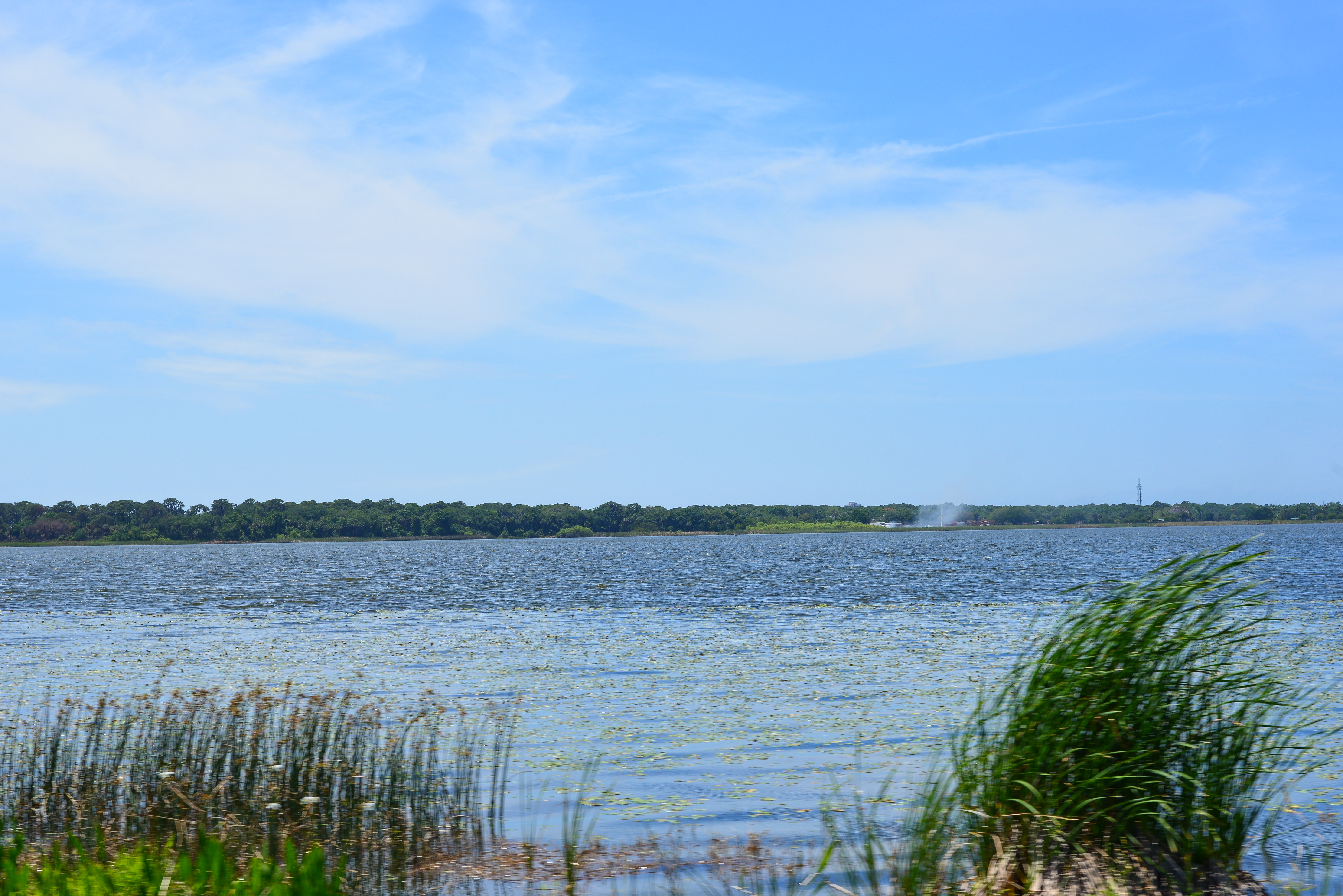 University Park St. Pete, St. Petersburg Real Estate Homes & Condos For Sale Homes for Sale